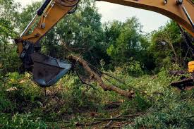 Land Clearing in Lakeland, FL